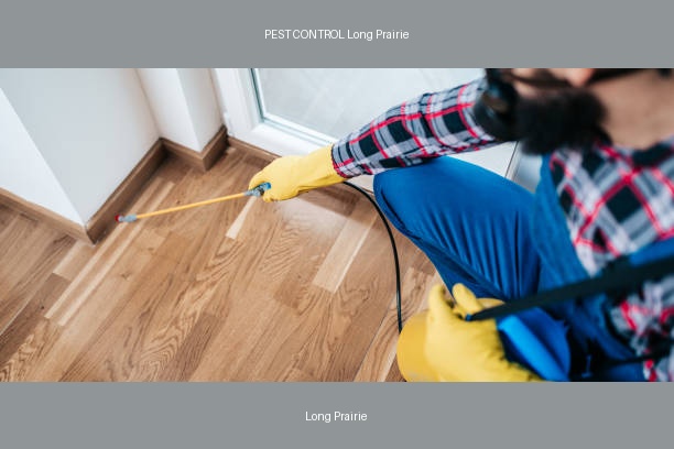 PEST CONTROL Long Prairie